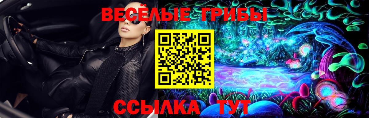 Галлюциногенные грибы Psilocybine cubensis  Вход с VPN  Александров 